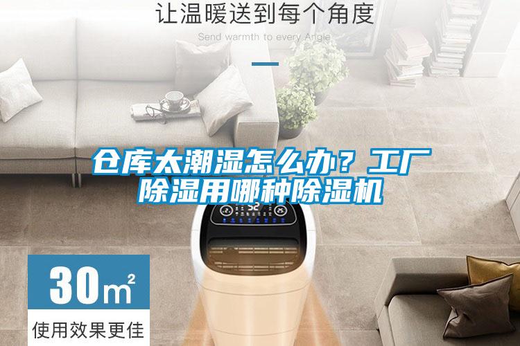 倉(cāng)庫(kù)太潮濕怎么辦？工廠除濕用哪種除濕機(jī)