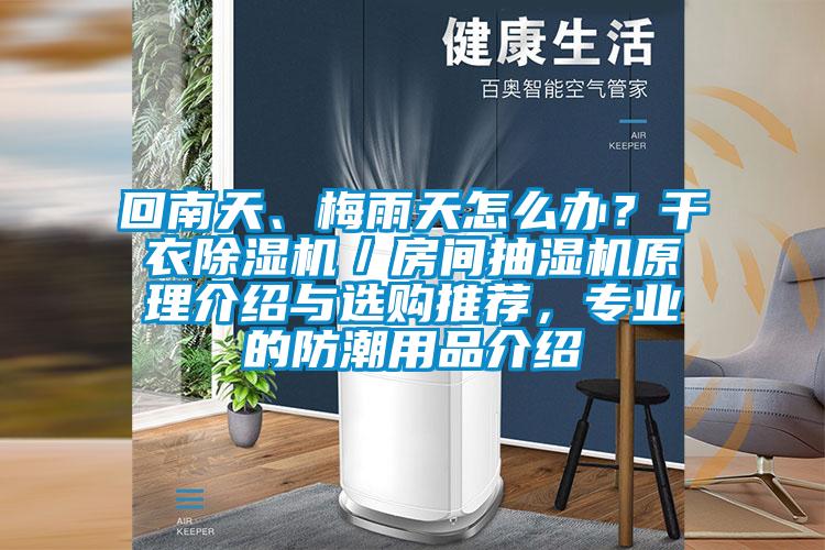 回南天、梅雨天怎么辦？干衣除濕機／房間抽濕機原理介紹與選購推薦，專業(yè)的防潮用品介紹