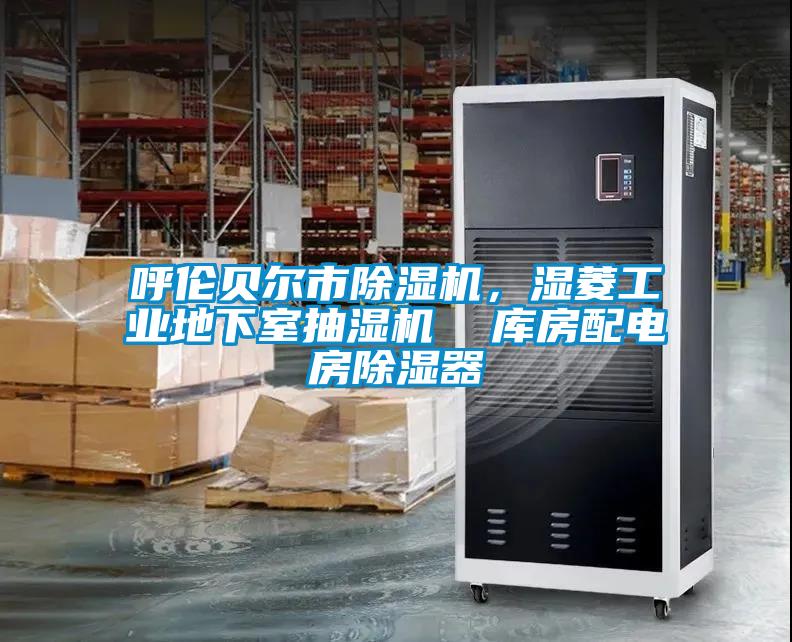 呼倫貝爾市除濕機，濕菱工業(yè)地下室抽濕機  庫房配電房除濕器