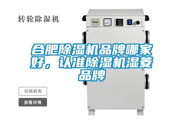 合肥除濕機(jī)品牌哪家好，認(rèn)準(zhǔn)除濕機(jī)濕菱品牌