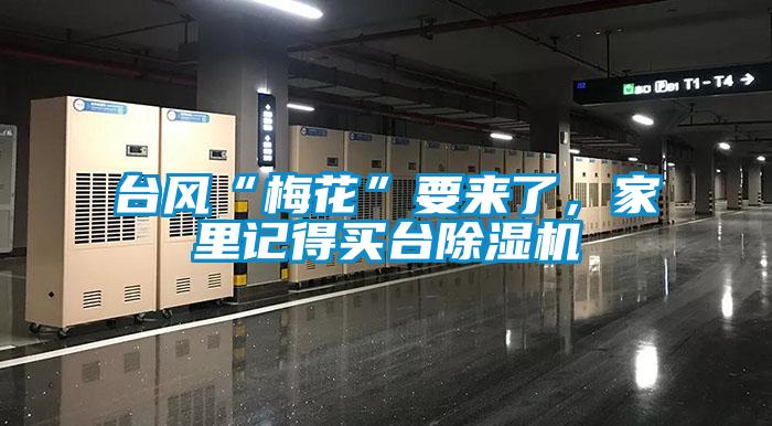 臺風“梅花”要來了，家里記得買臺除濕機