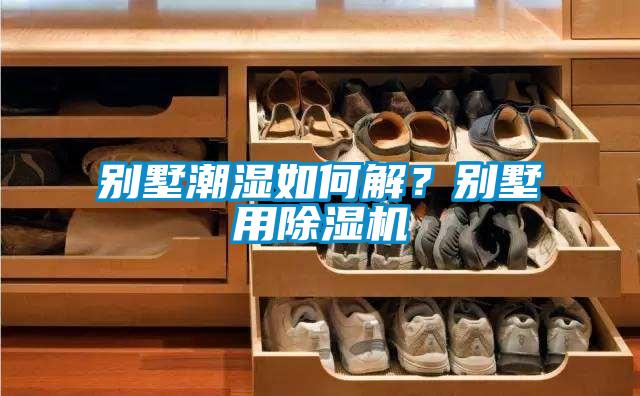 別墅潮濕如何解？別墅用除濕機(jī)