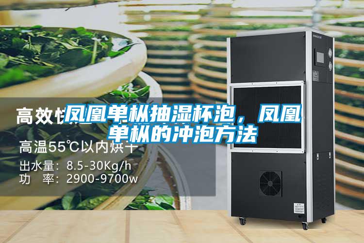 鳳凰單樅抽濕杯泡，鳳凰單樅的沖泡方法