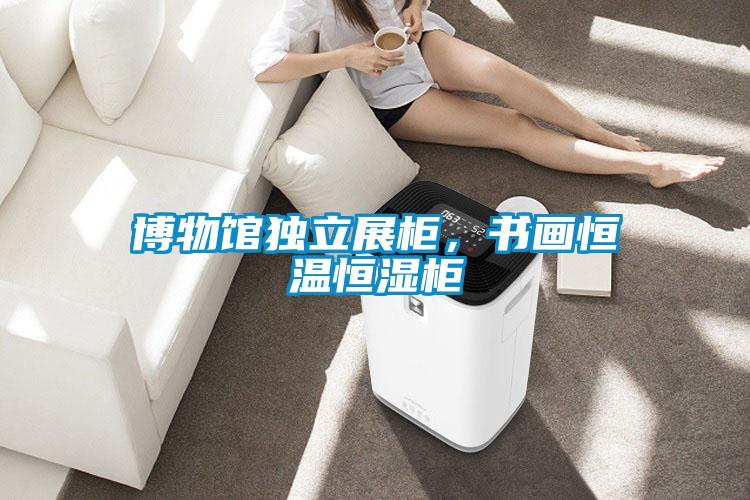 博物館獨立展柜，書畫恒溫恒濕柜