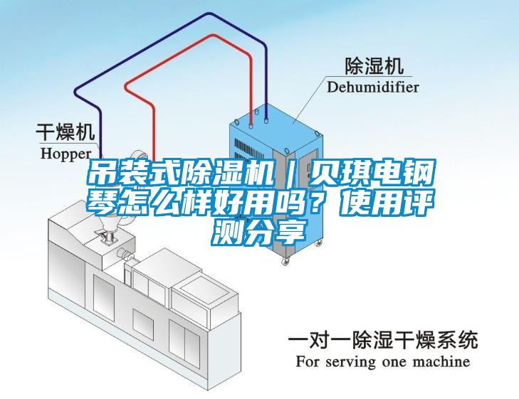 吊裝式除濕機(jī)｜貝琪電鋼琴怎么樣好用嗎？使用評(píng)測(cè)分享
