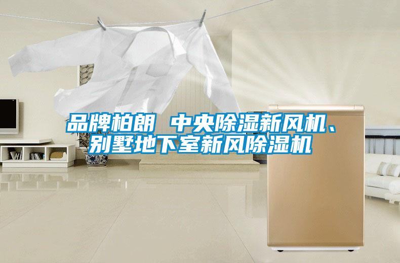 品牌柏朗 中央除濕新風(fēng)機、別墅地下室新風(fēng)除濕機