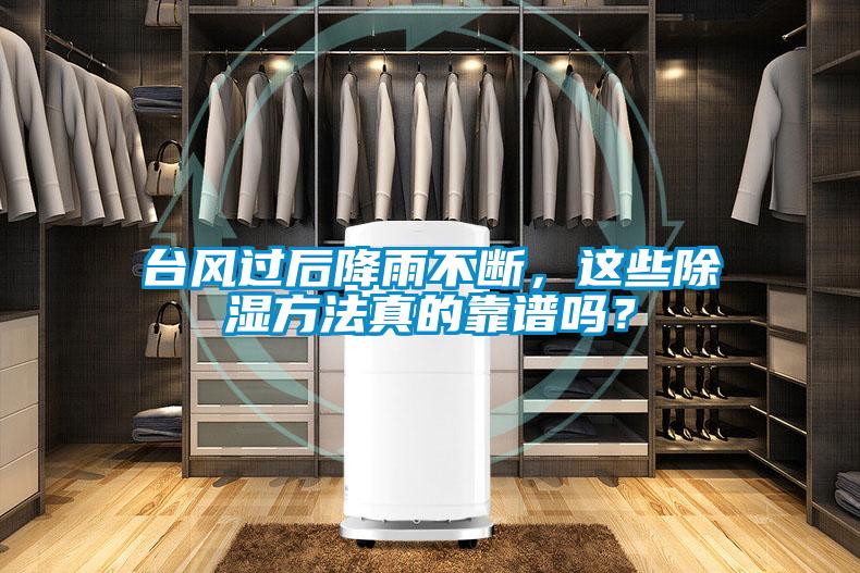 臺風過后降雨不斷，這些除濕方法真的靠譜嗎？