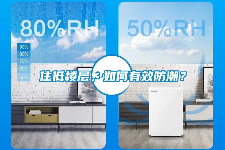 住低樓層，如何有效防潮？