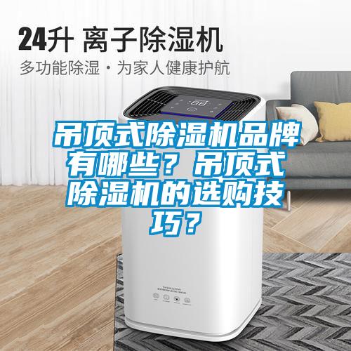 吊頂式除濕機(jī)品牌有哪些？吊頂式除濕機(jī)的選購技巧？