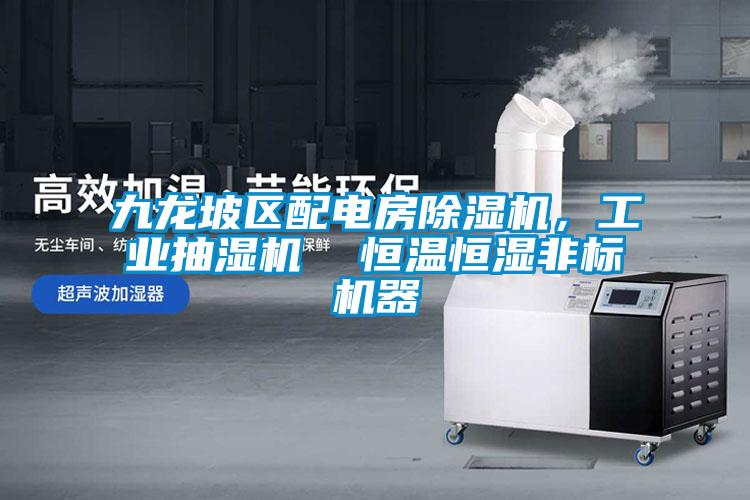 九龍坡區(qū)配電房除濕機(jī)，工業(yè)抽濕機(jī)  恒溫恒濕非標(biāo)機(jī)器