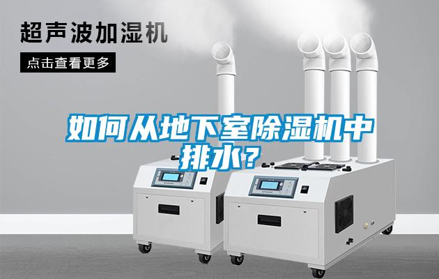 如何從地下室除濕機中排水？