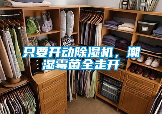 只要開動除濕機，潮濕霉菌全走開