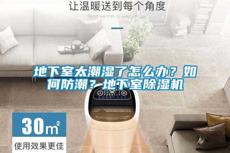 地下室太潮濕了怎么辦？如何防潮？地下室除濕機(jī)