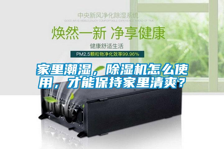 家里潮濕，除濕機(jī)怎么使用，才能保持家里清爽？