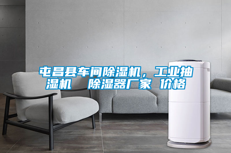 屯昌縣車間除濕機(jī)，工業(yè)抽濕機(jī)  除濕器廠家 價(jià)格