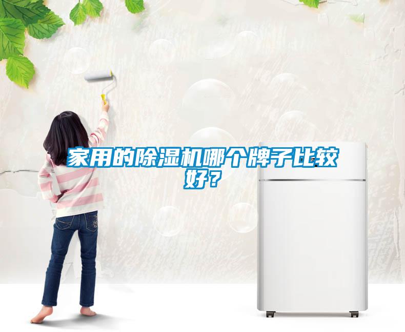 家用的除濕機(jī)哪個(gè)牌子比較好？