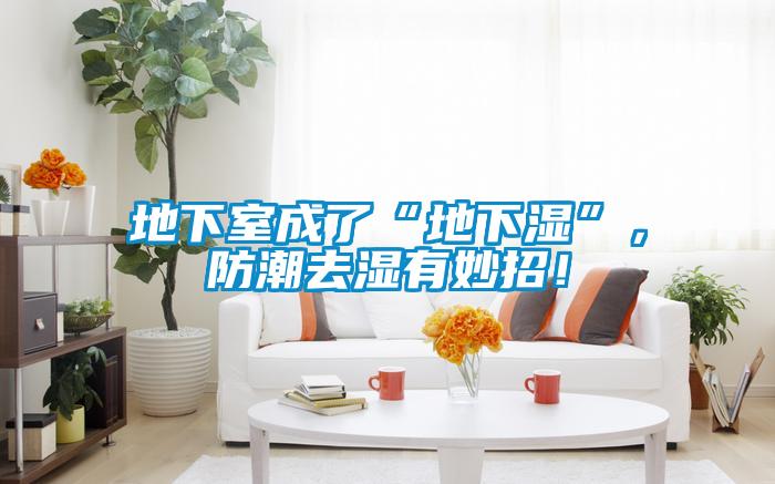 地下室成了“地下濕”，防潮去濕有妙招！