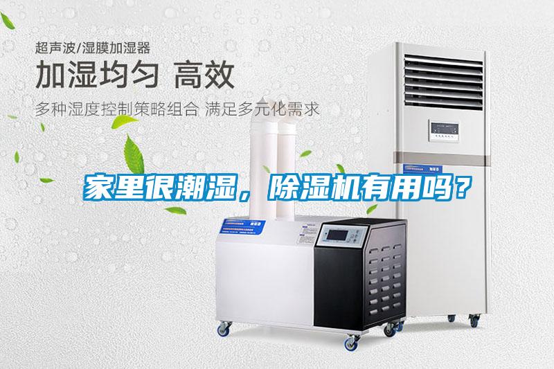 家里很潮濕，除濕機有用嗎？