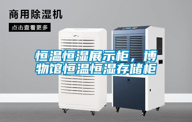恒溫恒濕展示柜，博物館恒溫恒濕存儲柜