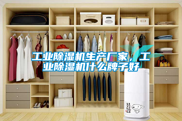 工業(yè)除濕機(jī)生產(chǎn)廠家，工業(yè)除濕機(jī)什么牌子好