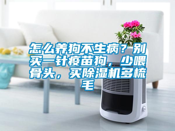 怎么養(yǎng)狗不生??？別買一針疫苗狗，少喂骨頭，買除濕機(jī)多梳毛