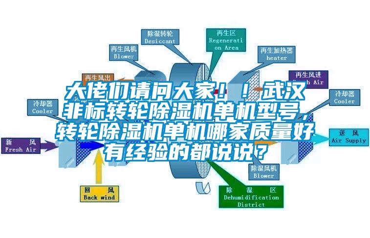 大佬們請問大家！！武漢非標(biāo)轉(zhuǎn)輪除濕機(jī)單機(jī)型號，轉(zhuǎn)輪除濕機(jī)單機(jī)哪家質(zhì)量好有經(jīng)驗的都說說？