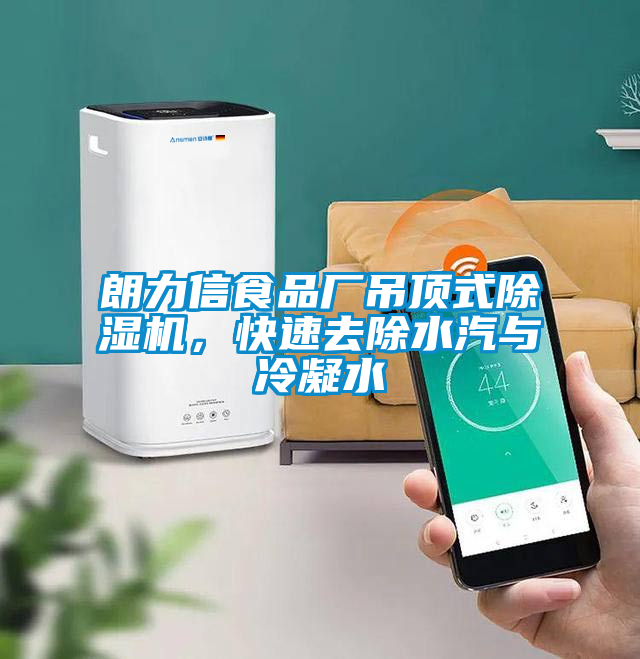 朗力信食品廠吊頂式除濕機，快速去除水汽與冷凝水