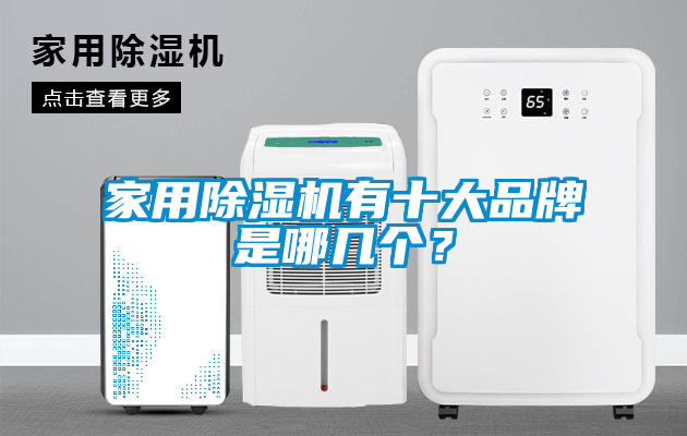 家用除濕機(jī)有十大品牌是哪幾個？