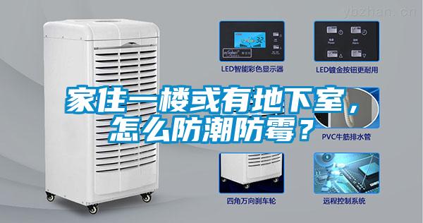 家住一樓或有地下室，怎么防潮防霉？