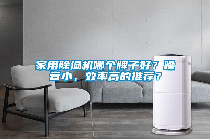 家用除濕機哪個牌子好？噪音小，效率高的推薦？