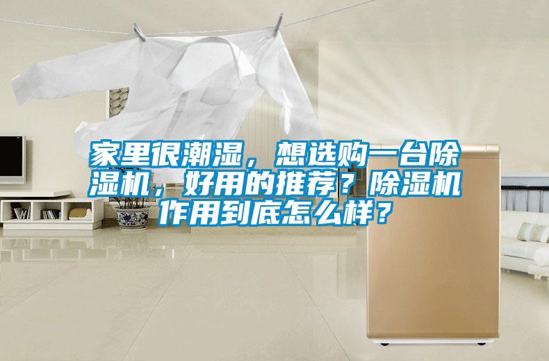 家里很潮濕，想選購(gòu)一臺(tái)除濕機(jī)，好用的推薦？除濕機(jī)作用到底怎么樣？