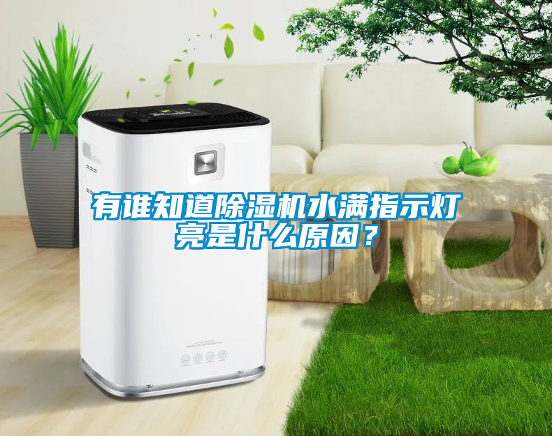 有誰知道除濕機水滿指示燈亮是什么原因？