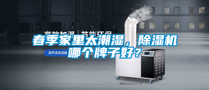 春季家里太潮濕，除濕機哪個牌子好？