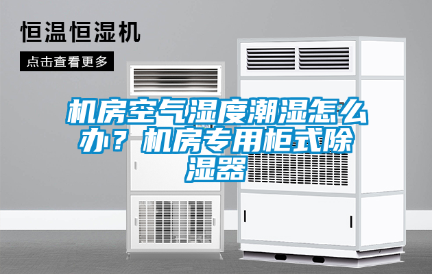 機(jī)房空氣濕度潮濕怎么辦？機(jī)房專用柜式除濕器