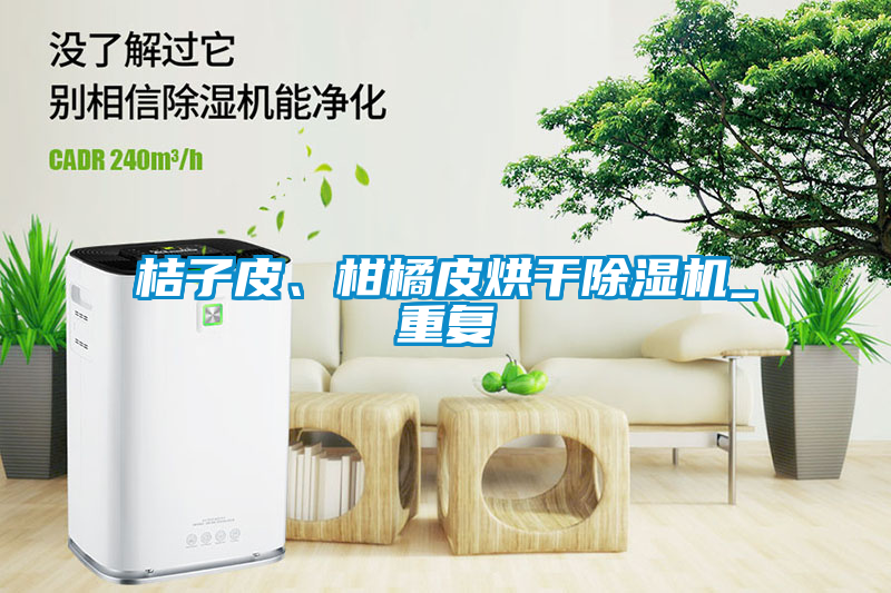 桔子皮、柑橘皮烘干除濕機(jī)_重復(fù)