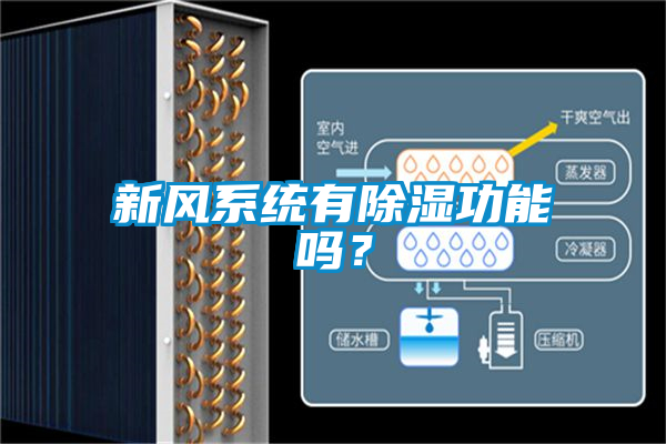 新風(fēng)系統(tǒng)有除濕功能嗎？