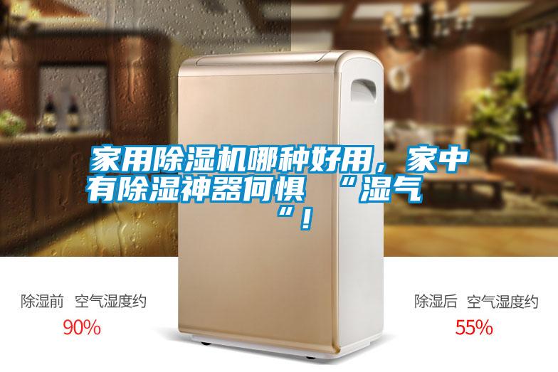 家用除濕機(jī)哪種好用，家中有除濕神器何懼 “濕氣 “！