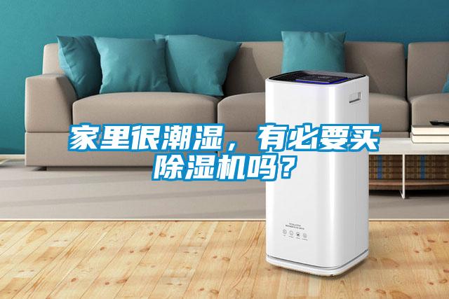 家里很潮濕，有必要買除濕機(jī)嗎？