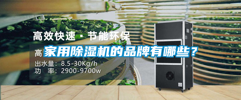 家用除濕機的品牌有哪些？