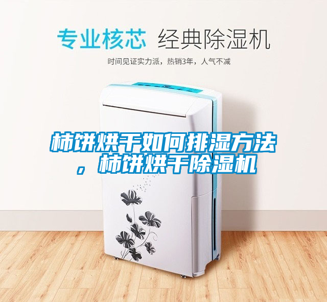 柿餅烘干如何排濕方法，柿餅烘干除濕機(jī)