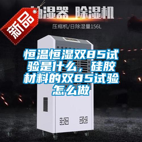 恒溫恒濕雙85試驗是什么，硅膠材料的雙85試驗怎么做
