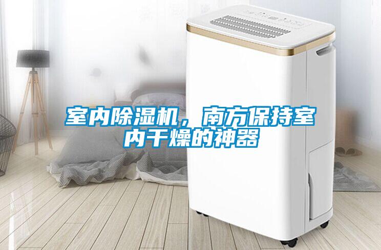 室內(nèi)除濕機(jī)，南方保持室內(nèi)干燥的神器
