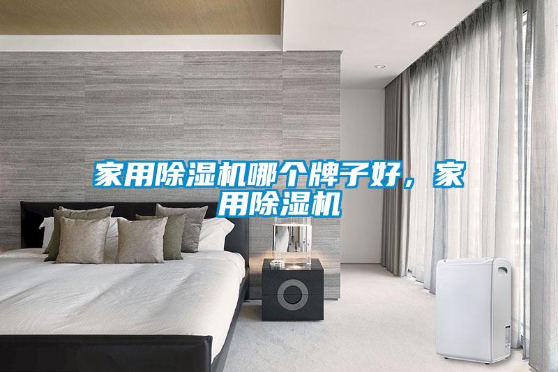 家用除濕機哪個牌子好，家用除濕機