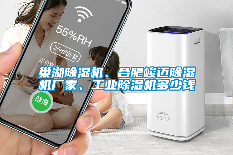 巢湖除濕機(jī)、合肥峻邁除濕機(jī)廠家、工業(yè)除濕機(jī)多少錢