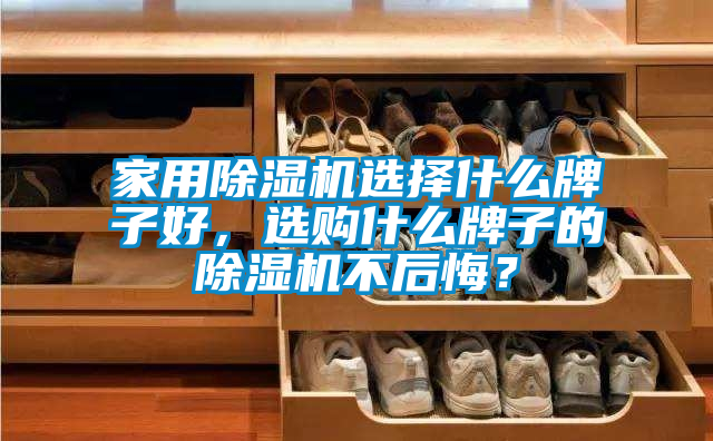 家用除濕機(jī)選擇什么牌子好，選購什么牌子的除濕機(jī)不后悔？
