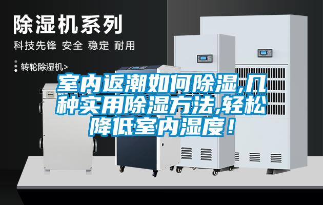 室內(nèi)返潮如何除濕,幾種實用除濕方法,輕松降低室內(nèi)濕度！