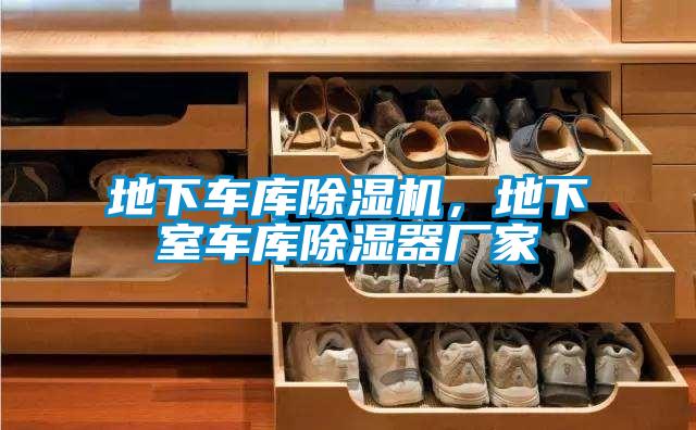地下車庫除濕機(jī)，地下室車庫除濕器廠家