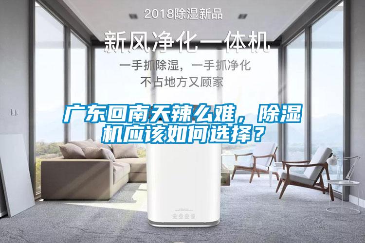 廣東回南天辣么難，除濕機應(yīng)該如何選擇？