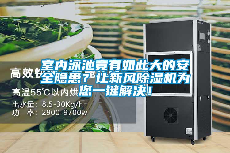 室內(nèi)泳池竟有如此大的安全隱患？讓新風(fēng)除濕機(jī)為您一鍵解決！