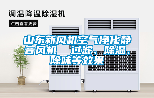 山東新風機空氣凈化靜音風機  過濾、除濕、除味等效果